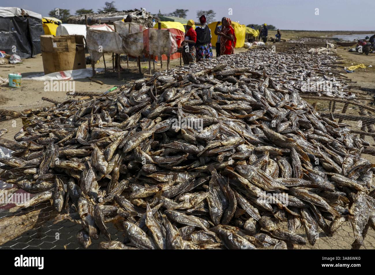 Campo di pesca su una riva del lago Eyasi, Tanzania Foto Stock