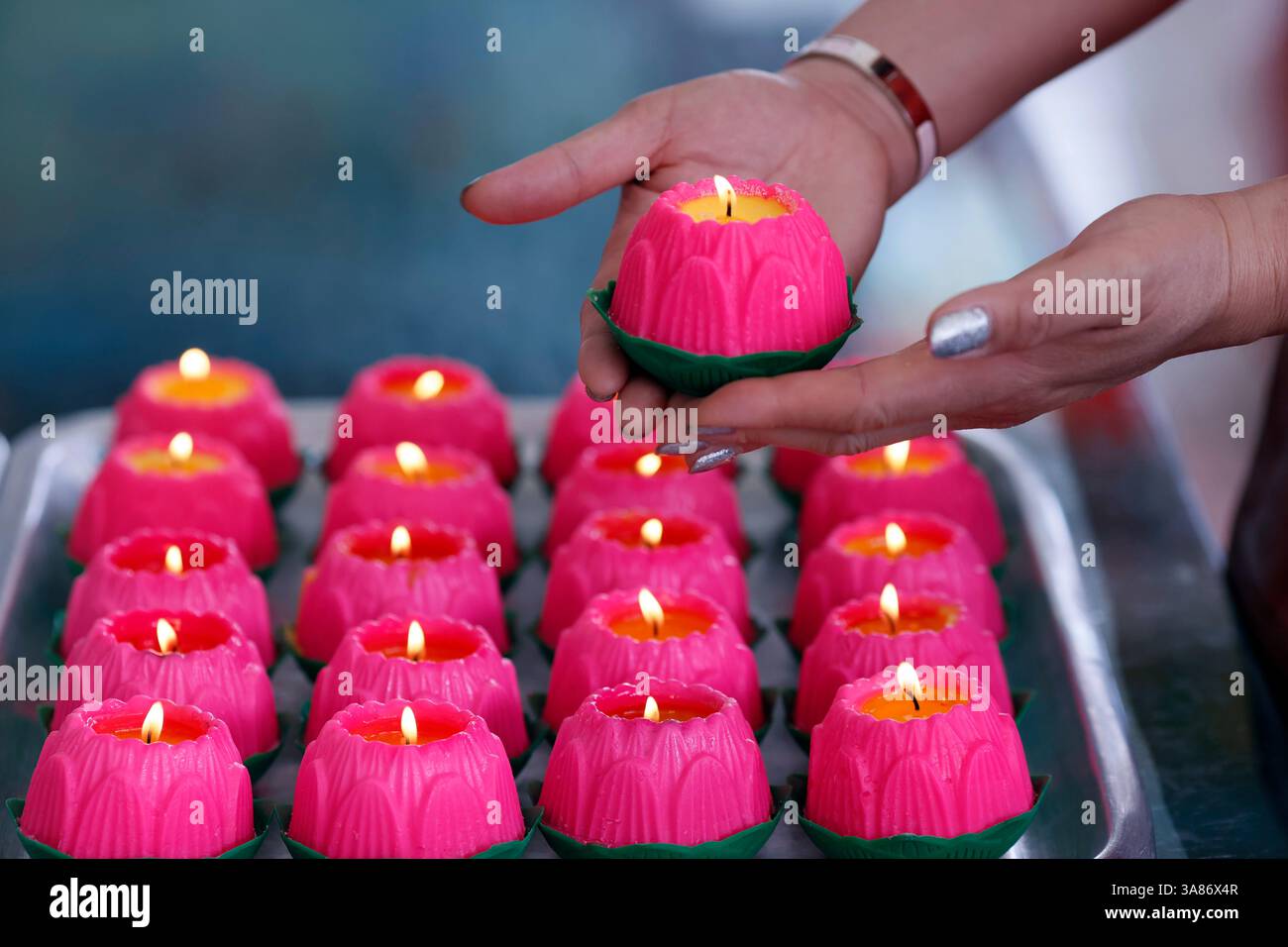 Candele di fiori di loto rosa che simboleggiano la crescita e lo sviluppo umano, al tempio Thean Hou, Kuala Lumpur, Malesia Foto Stock