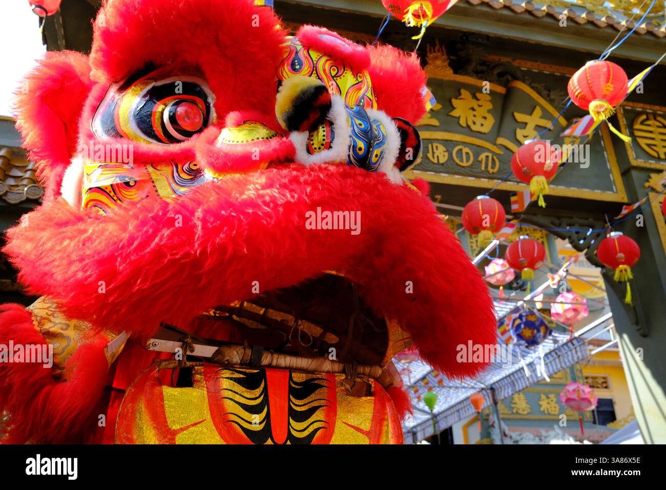 Pagoda buddista Phuoc Long, tradizionale danza cinese del leone, che celebra l'anno nuovo, Tan Chau. Vietnam Foto Stock
