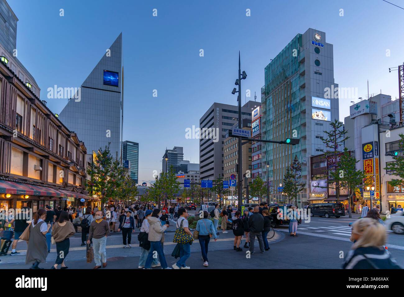 Vista dei negozi e degli amanti dello shopping sulla trafficata strada dello shopping al crepuscolo, Osaka, Honshu, Giappone Foto Stock