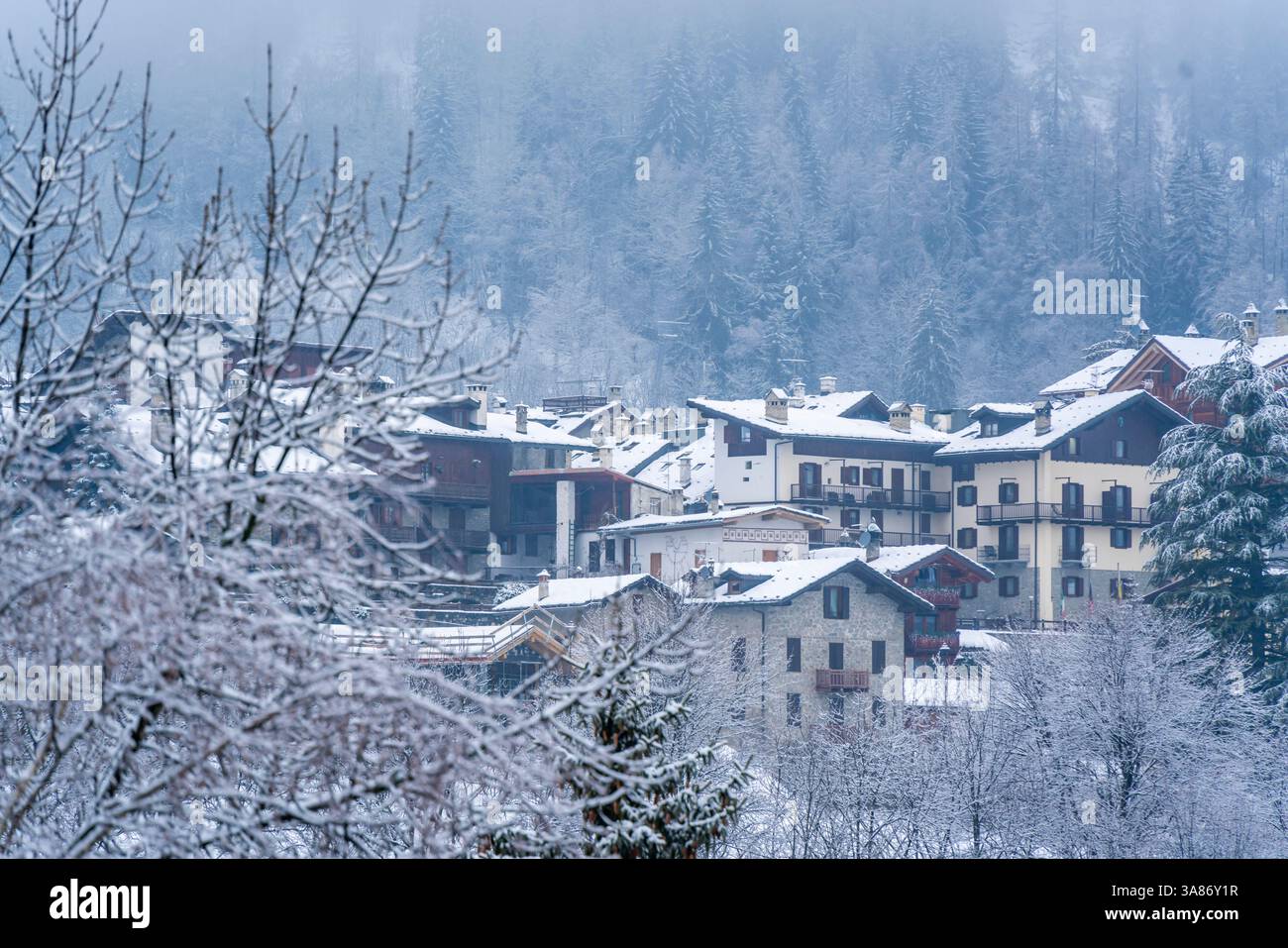 Vista di alberi e chalet ghiacciati a Dolonne durante l'inverno, Courmayeur, Valle d'Aosta, Italia Foto Stock