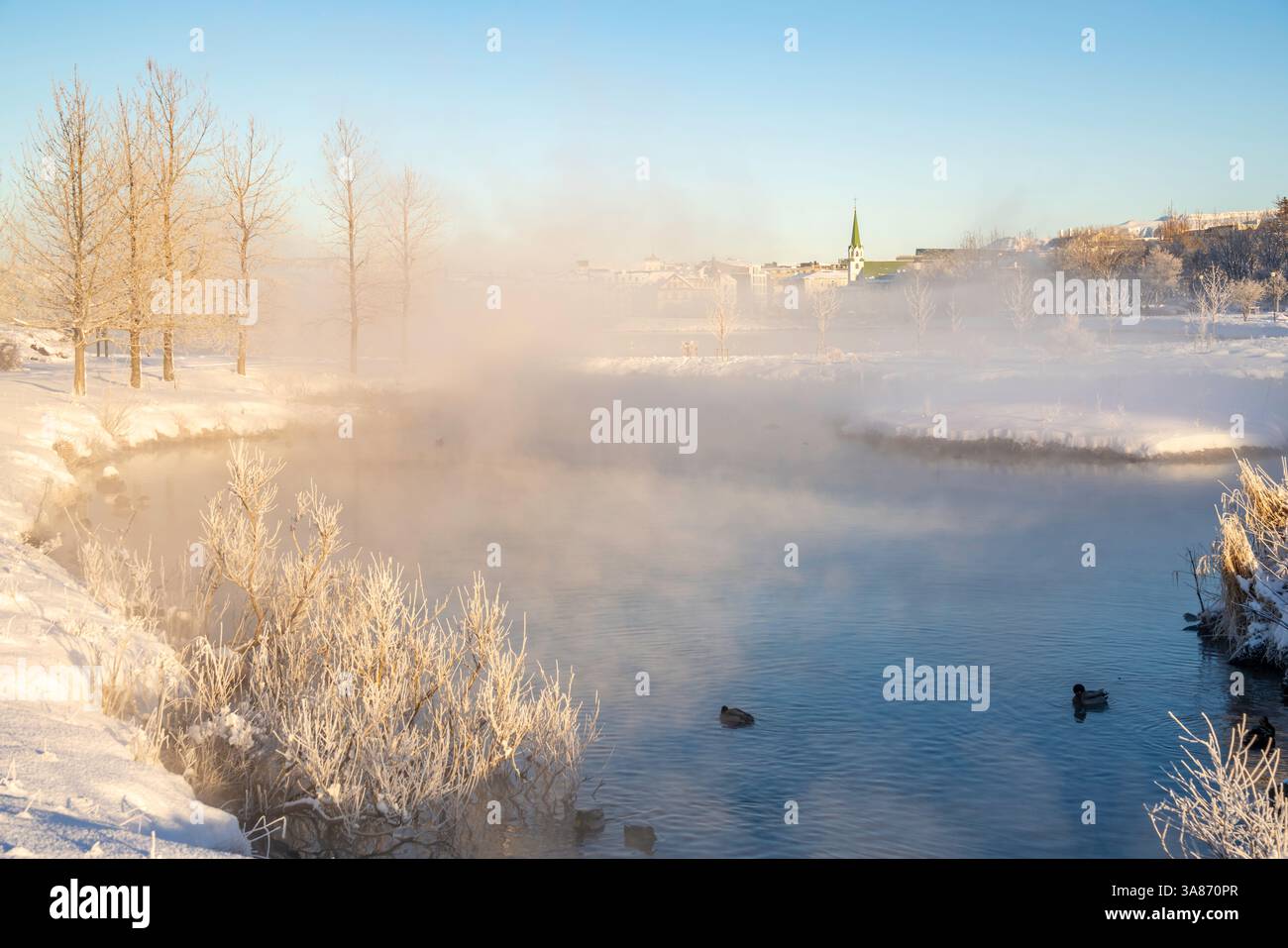 Vista della nebbia mattutina nel parco di Tjornin e della Chiesa Luterana libera in una giornata di sole in inverno, Reykjavik, Islanda Foto Stock