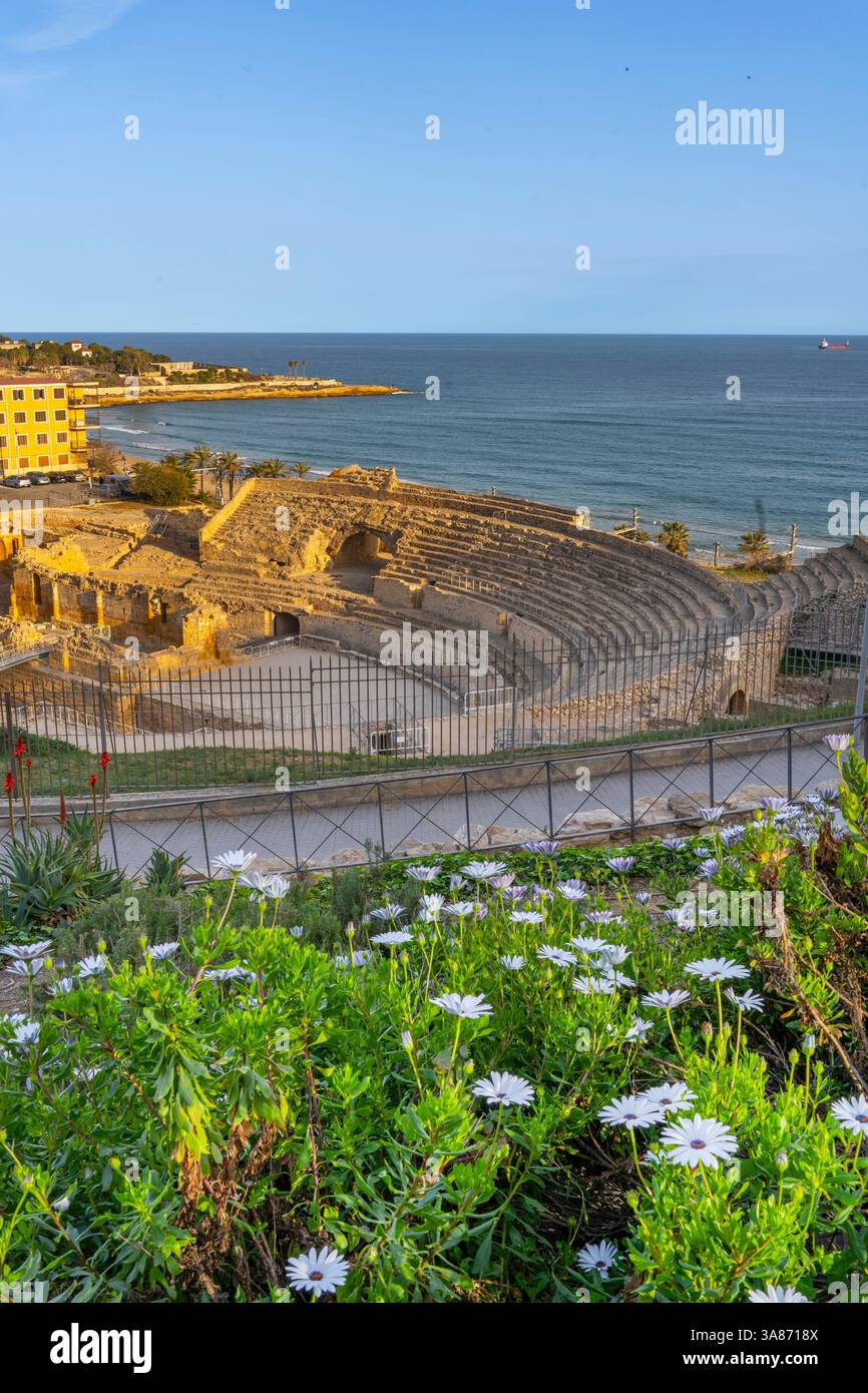 Anfiteatro romano, UNESCO, Tarragona, Catalogna, Spagna Foto Stock