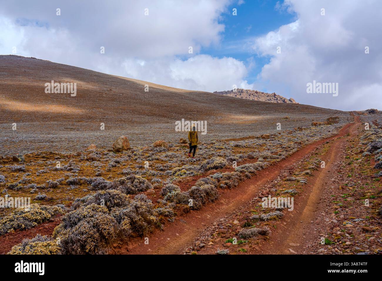 Etiopia, Sheperd e animali all'Altopiano di Sanetti nel Parco Nazionale delle Bale Mountains. Sulla strada per la cima del monte Tullu Dimtu. Foto Stock