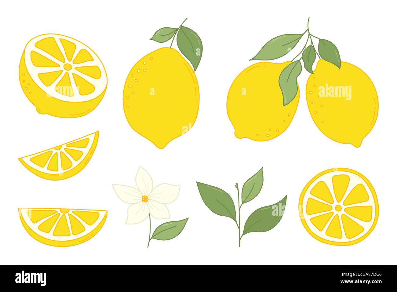 Set di frutti di limone disegnati a mano. Limoni freschi, frutti interi di limone, fiori, foglie, fette di limone e limone tagliato a metà, limoni tritati. Limoni cartoni animati Illustrazione Vettoriale