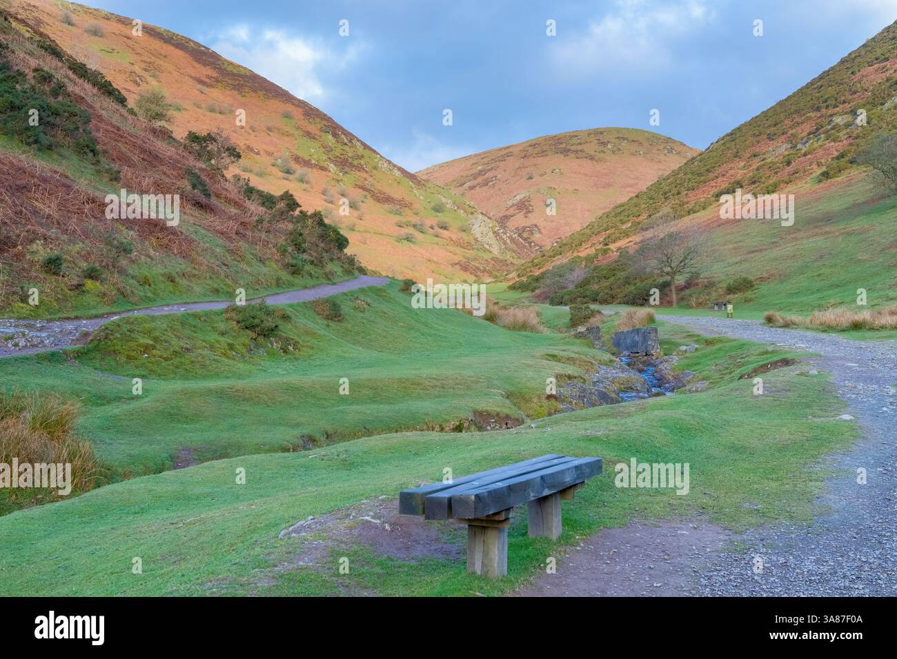 Shropshire Hills nel Regno Unito, Landscape of the Long Mynd in England in landscape orientation Foto Stock