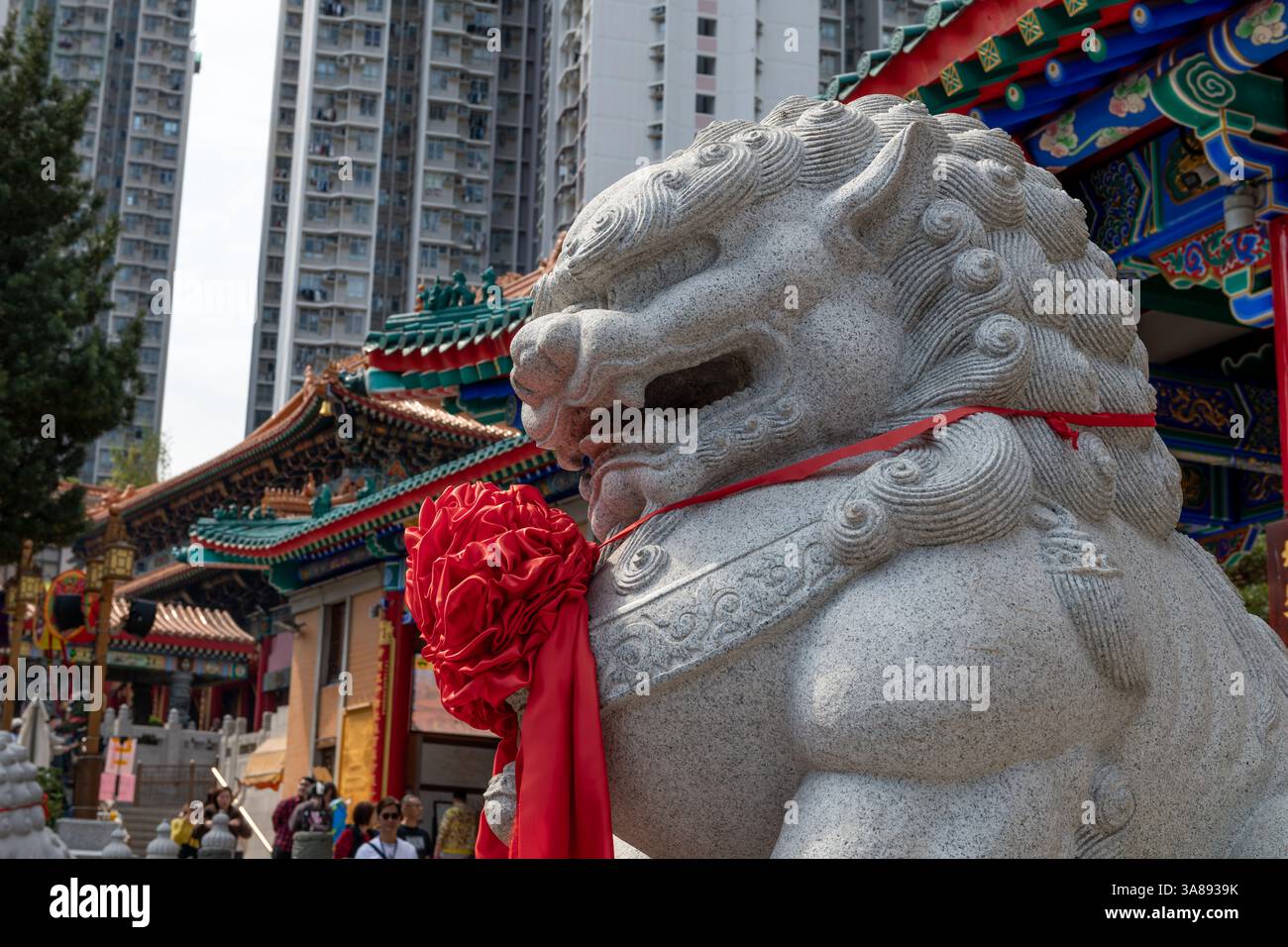 Hong Kong. Cina- 02.24.2025. Primo piano di una statua di pietra del Leone Guardiano Cinese o del Leone Guardiano Imperiale nel Tempio Sik Sik Yuen Wong Tai sin. Foto Stock