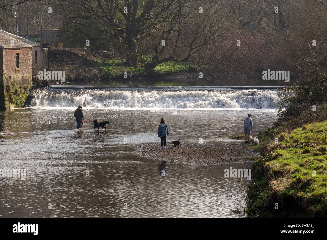 Il Pollock Country Park di Glasgow ospita il White Cart Water, un fiume che scorre attraverso il parco e offre un pittoresco sentiero lungo il fiume per passeggiate Foto Stock