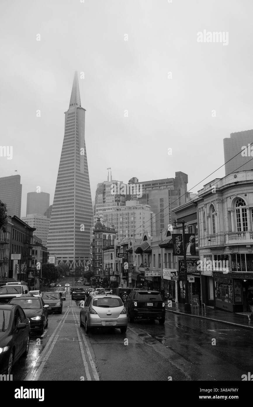 I pendolari percorrono strade nebbiose e bagnate di San Francisco, con l'iconica Piramide Transamerica che incombe davanti al quartiere finanziario. Foto Stock