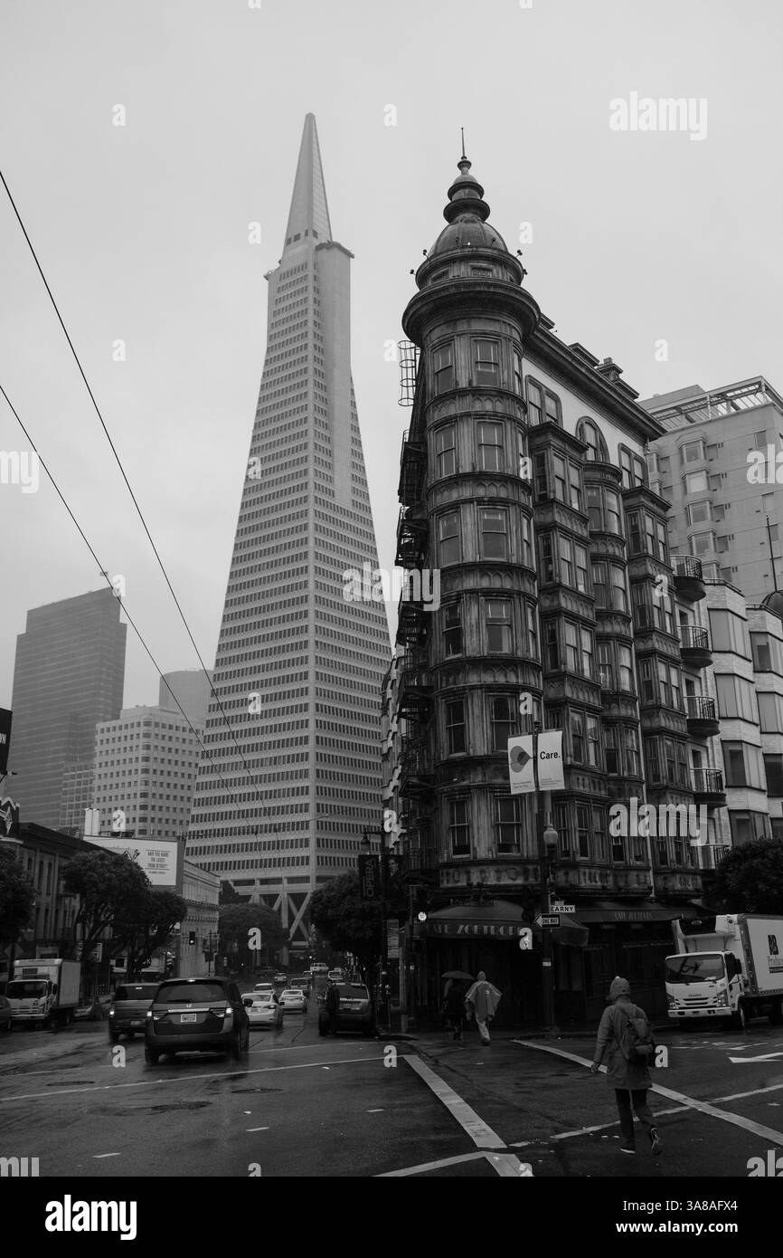 San Francisco: La Transamerica Pyramid si erge sul Sentinel Building (Cafe Zoetrope) mentre i pedoni attraversano una strada bagnata. Foto Stock