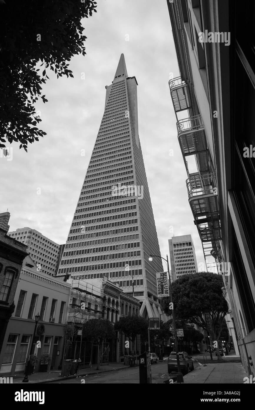 Una vista a livello della strada cattura l'iconica piramide Transamerica che perfora il cielo di San Francisco. Foto Stock