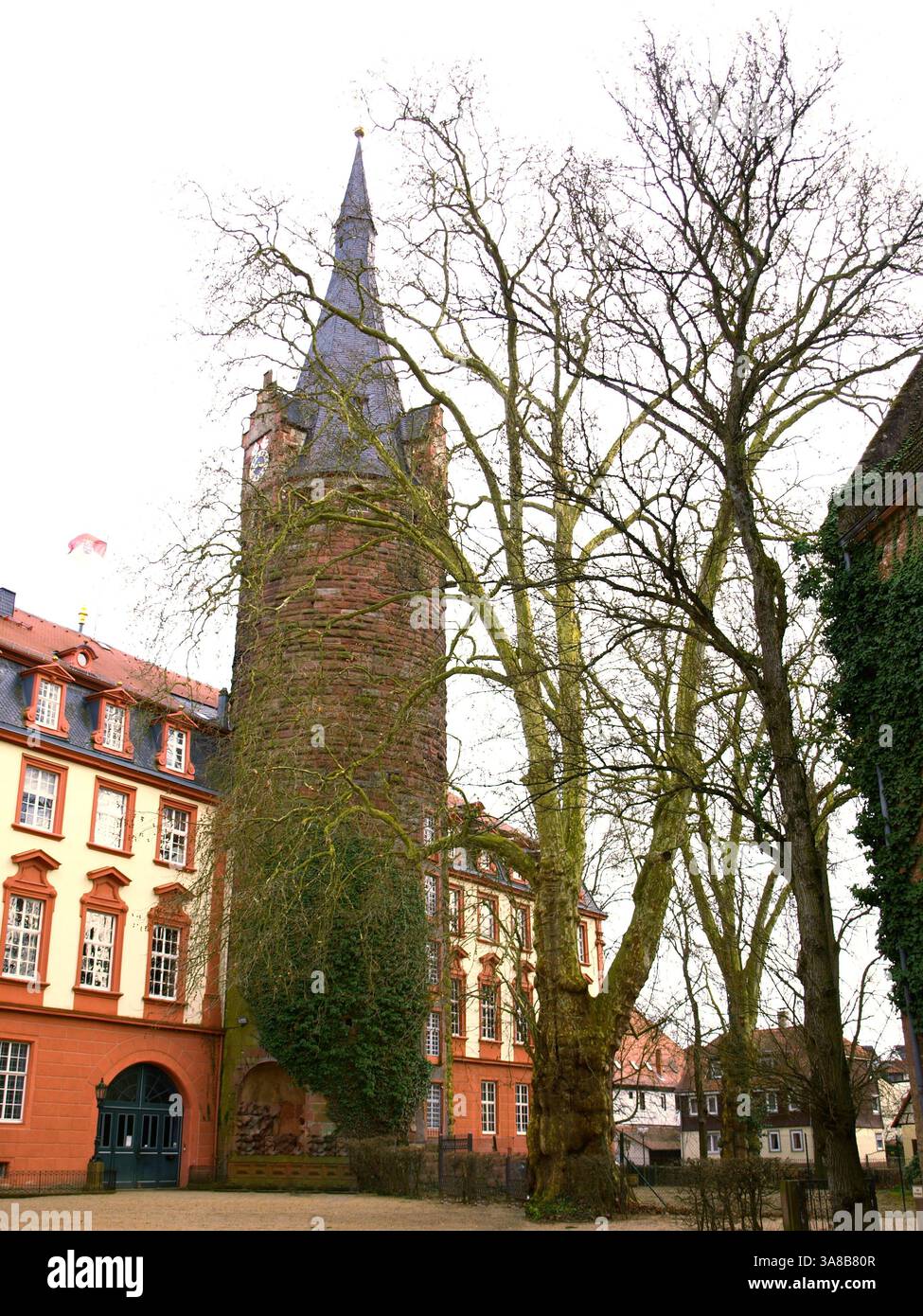 Il palazzo Erbach è un palazzo di Erbach im Odenwald e sede del conte di Erbach. E' stato costruito nel Medioevo... (Wiki) Foto Stock