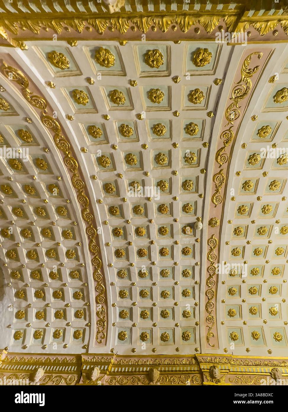 Ajaccio, Corsica, Francia 8 luglio 2024: Cattedrale Notre-Dame de l'Assomption, griglia quadrata di fiori dorati sul soffitto Foto Stock