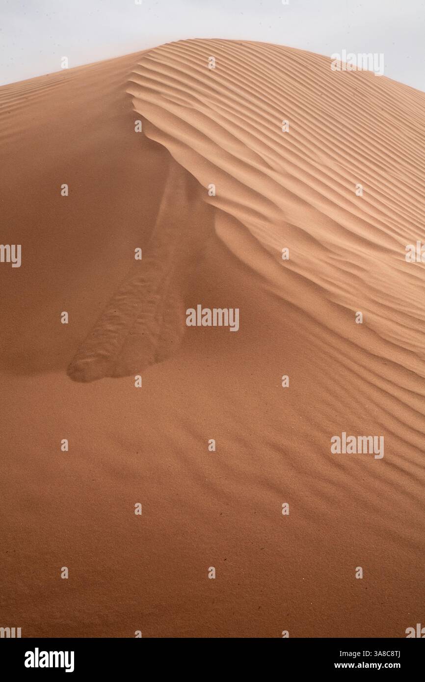 dune di sabbia wihibah sabbie sultanato dell'oman Foto Stock