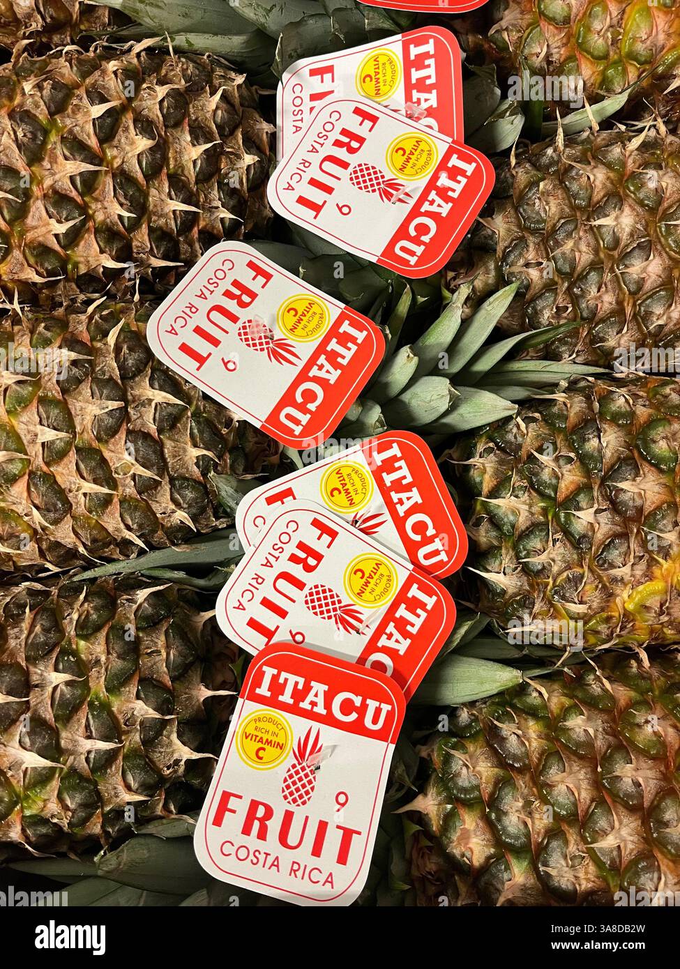 Ananas, Itacu Fruit, Costa Rica, Cost Rican Products, Fruit Supplier, shopping, consumismo, frutta esotica, agricoltura, prodotti del Sud America Foto Stock