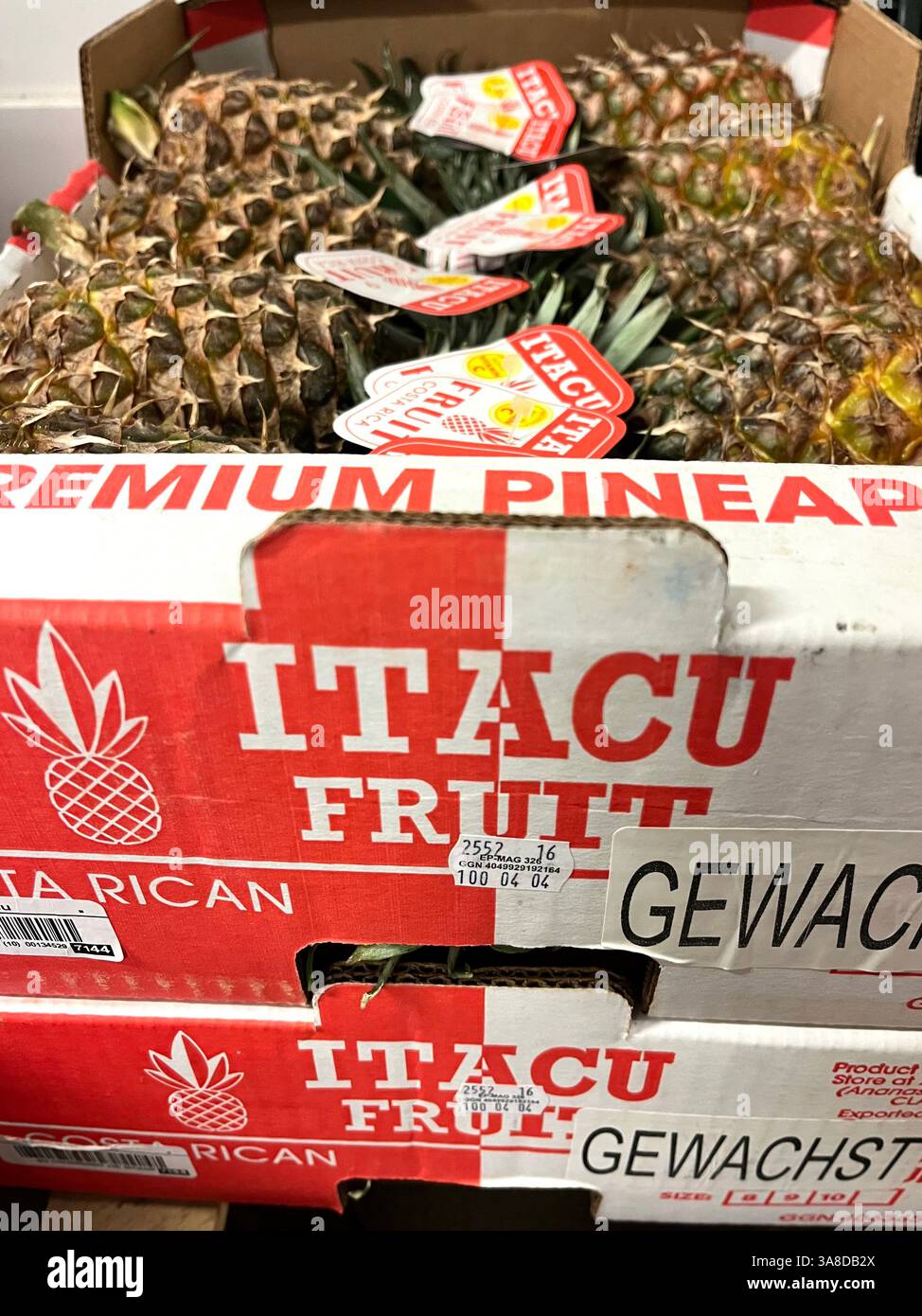 Ananas, cassa di cartone, Itacu Fruit, Costa Rica, ananas premium, costo prodotti Rican, fornitore di frutta, magazzino, agricoltura, distribuzione Foto Stock