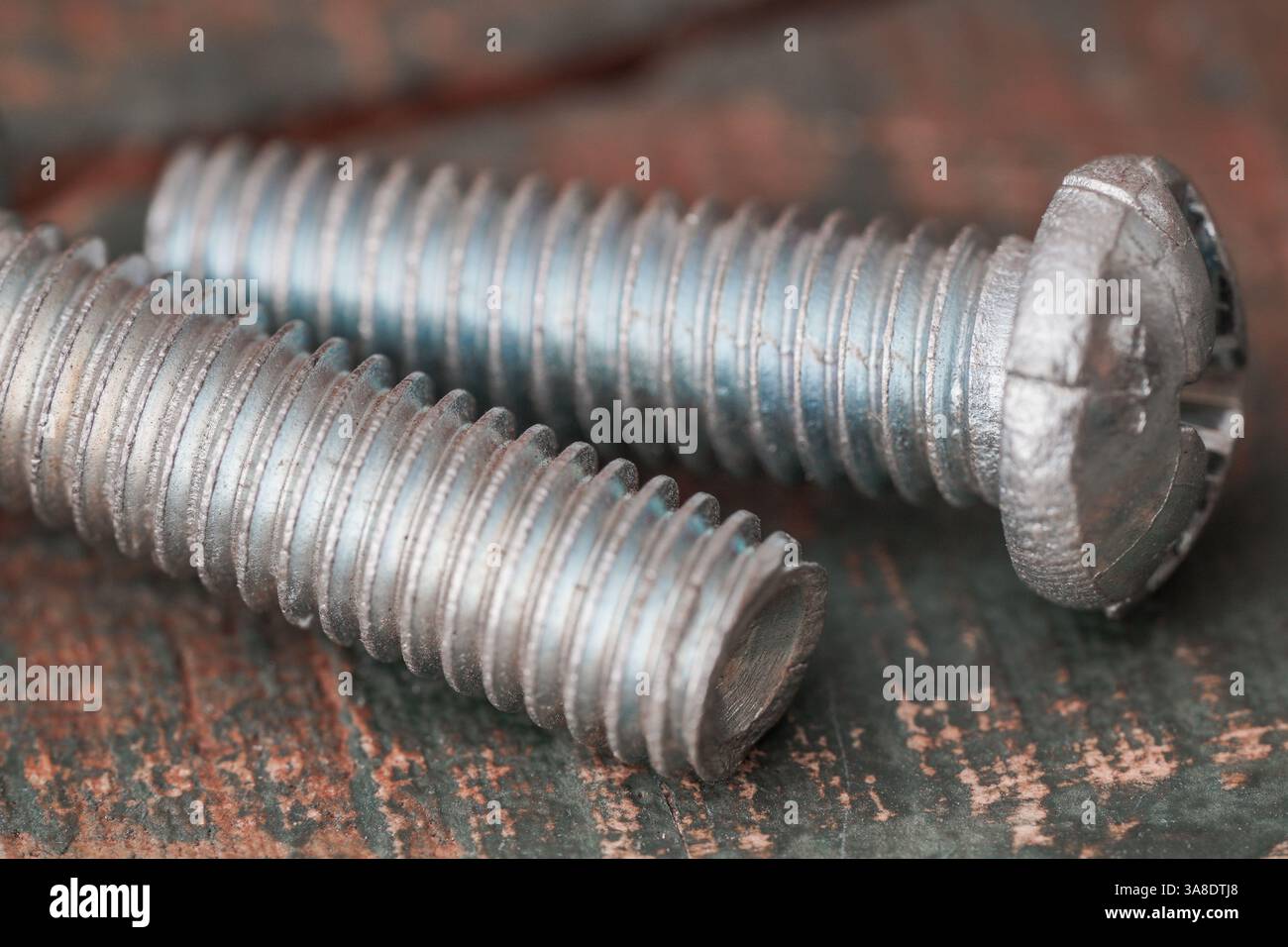 Primo piano di viti metalliche su una superficie rustica in legno, perfetto per progetti di costruzione, riparazione e miglioramento della casa. Foto Stock