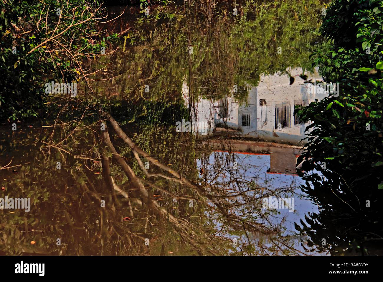 LA RIVA DEL FIUME SI RIFLETTE NELLA SUA SUPERFICIE CALMA Foto Stock