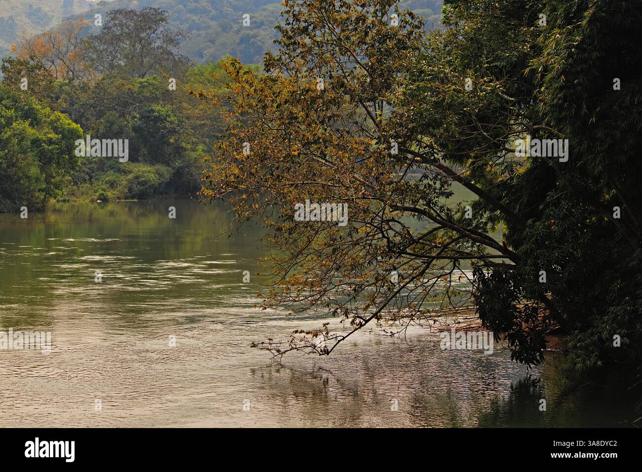 VISTA AUTUNNALE DEL FIUME PARAIBA SUD CON I RAMI DI UN ALBERO SULLA SUA SPONDA CHE TOCCANO LEGGERMENTE LA SUPERFICIE DEL FIUME. Foto Stock