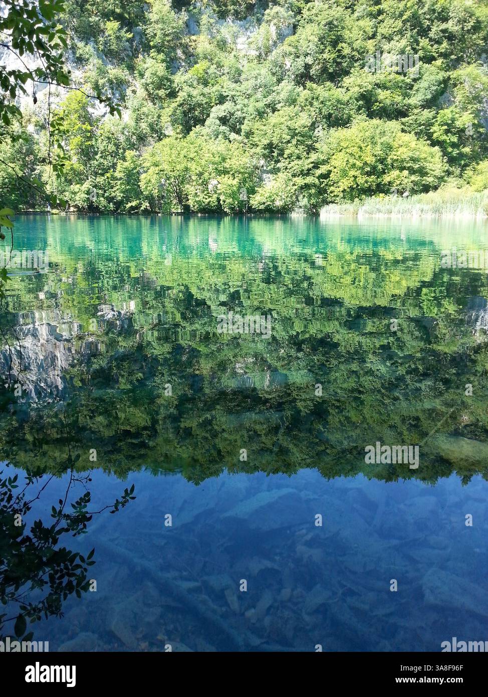 Alberi che si riflettono nel lago Plitvice e nel paesaggio del lago Foto Stock