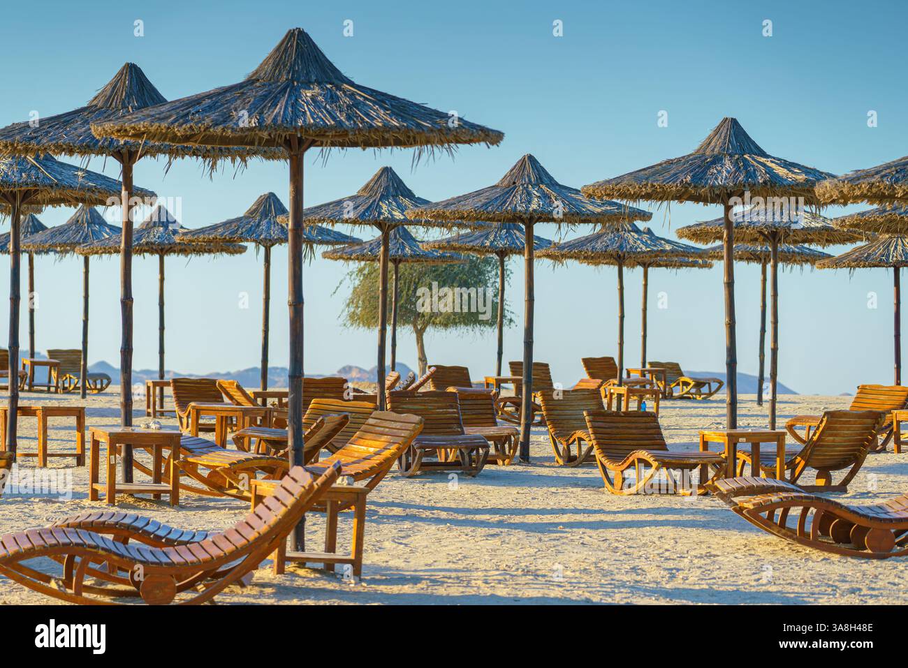 Sir Bani Yas Island, Emirati Arabi Uniti, Vista della spiaggia con lettini e ombrelloni di paglia, senza persone, di giorno Foto Stock