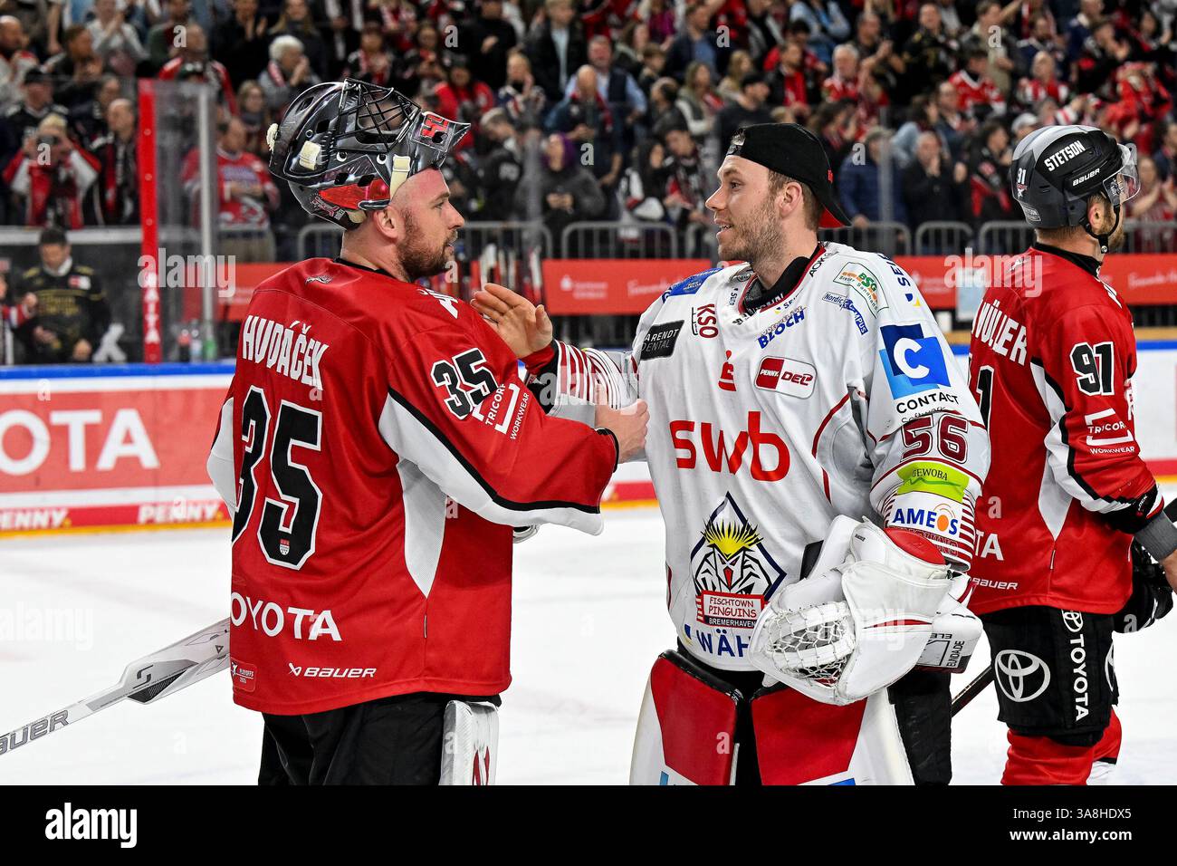 Colonia, Germania. 28 marzo 2025. Eishockey DEL - 24/25 -Playoff-Viertelfinale Spiel 6: Kölner Haie vs Fischtown Pinguins am 28.03.2025 in der LANXESS arena in Köln Shakehands von Kölns Torhüter Julius Hudácek (Nr.35) und Bremerhavens Torhüter Maximilian Franzreb (Nr.56) foto: Osnapix Credit: dpa picture Alliance/Alamy Live News Foto Stock