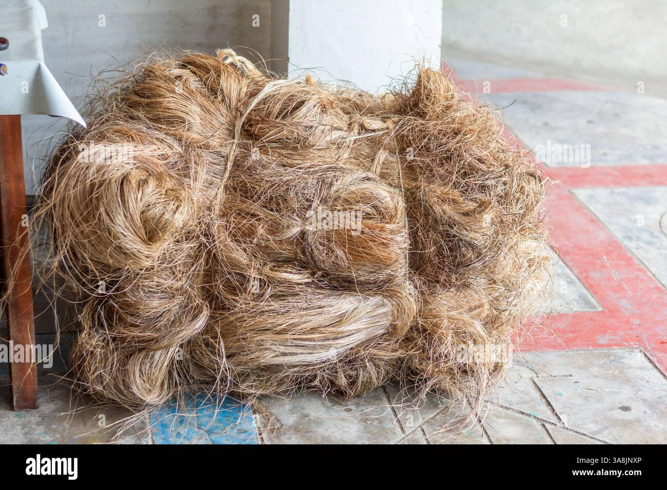 Un fascio di fibra di pina pregiata preparata per la produzione artigianale di carta al Papierus Arts and Craft di Kalibo, Filippine Foto Stock