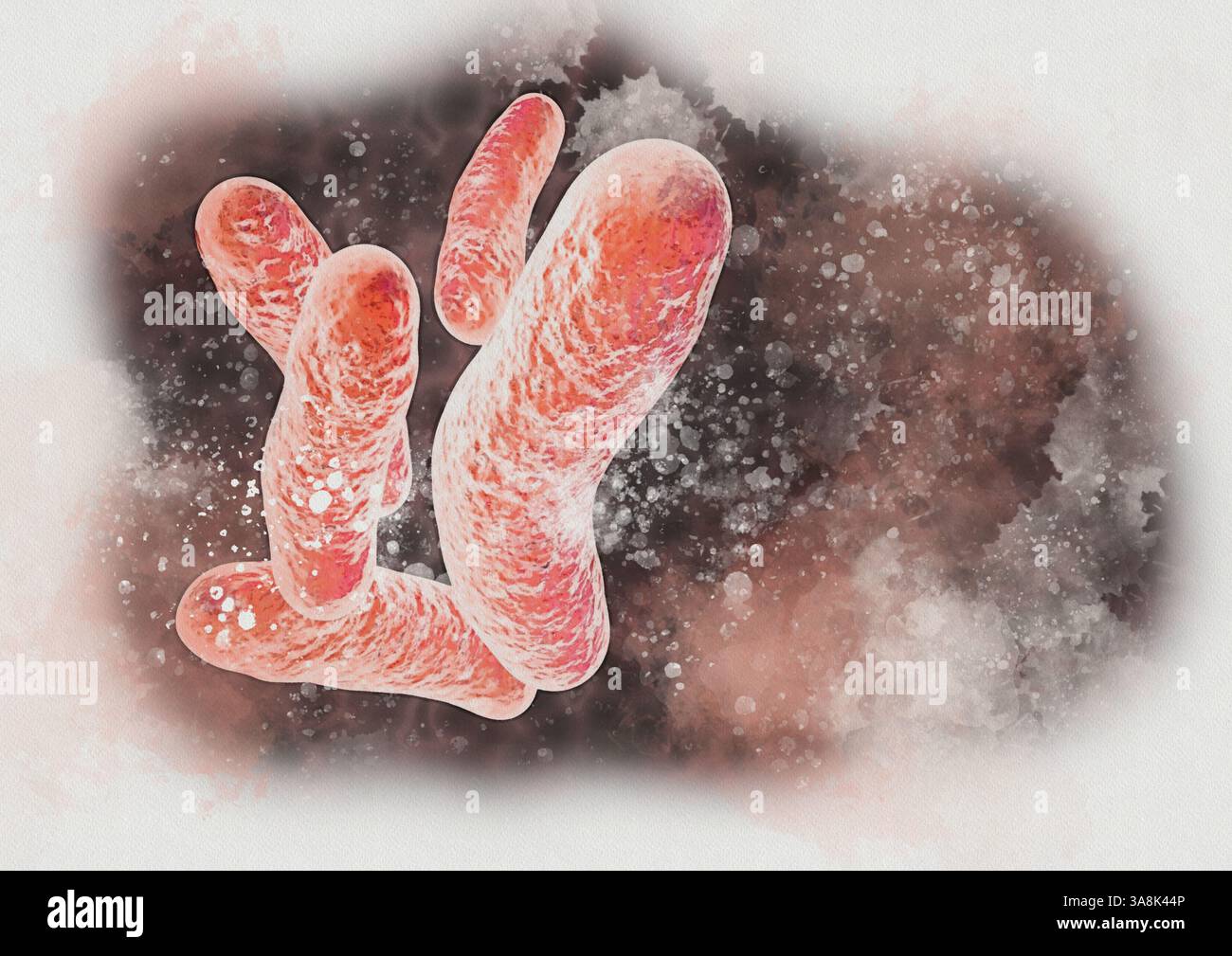 Illustrazione dei mitocondri, organelli cellulari racchiusi in membrana che producono energia. A volte sono soprannominati "la centrale elettrica della cellula". Foto Stock
