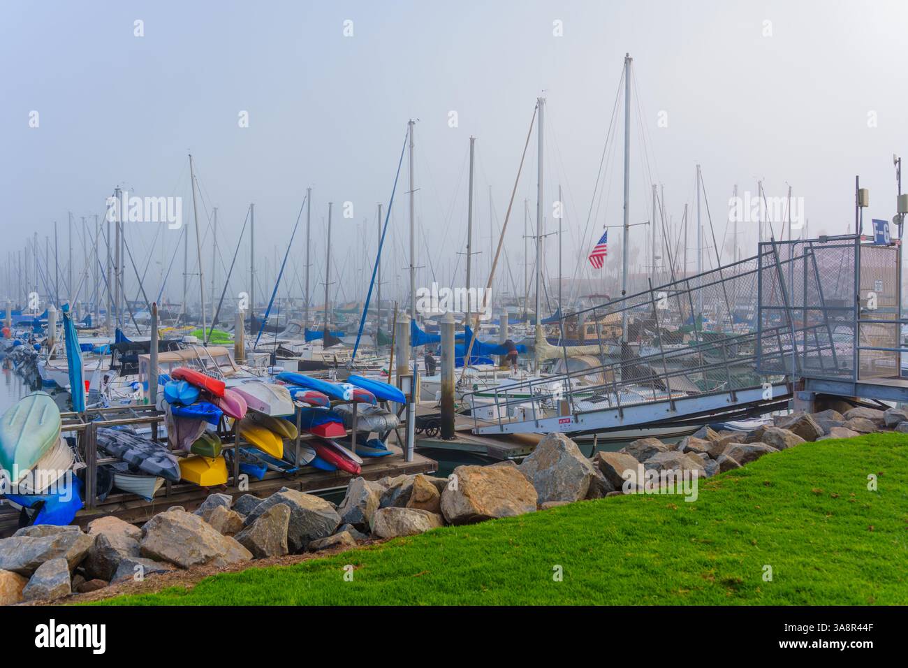 Oceanside, California - 3 gennaio 2025: Foggy Morning presso Oceanside Marina, con numerose barche a vela e kayak colorati vicino alla riva, Capturin Foto Stock
