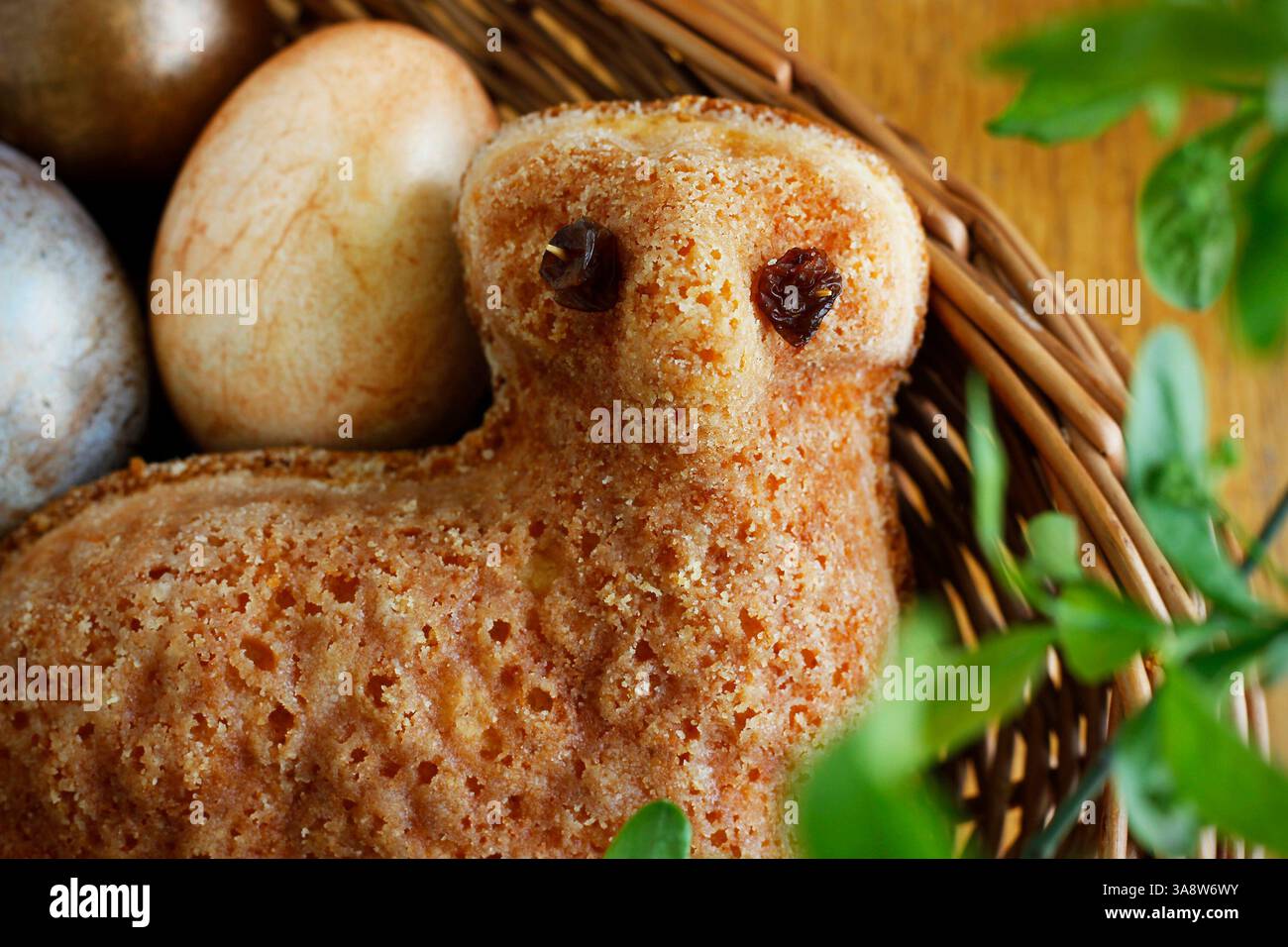 Primo piano di una piccola torta di agnello, dolce dolce tradizionale ceco di Pasqua e uova dipinte in un cestino di vimini sotto ramoscelli verdi in un vaso. Foto Stock