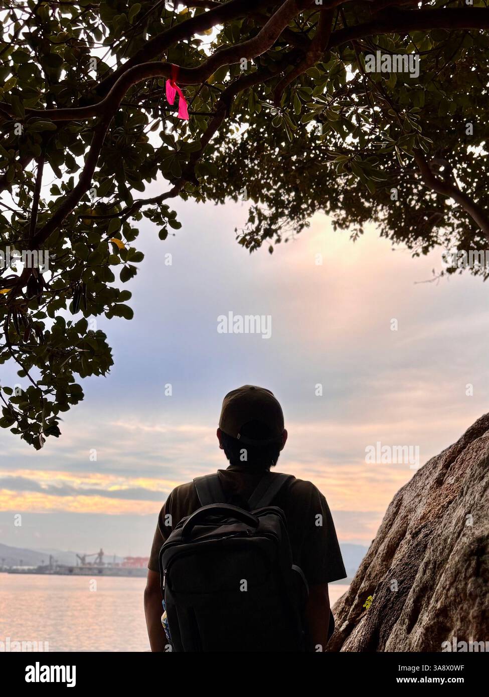 Silhouette di una persona sola che guarda il cielo e il mare della sera da sotto un baldacchino di alberi al tramonto su una spiaggia tropicale. - Immagine stock catturata con smartphone