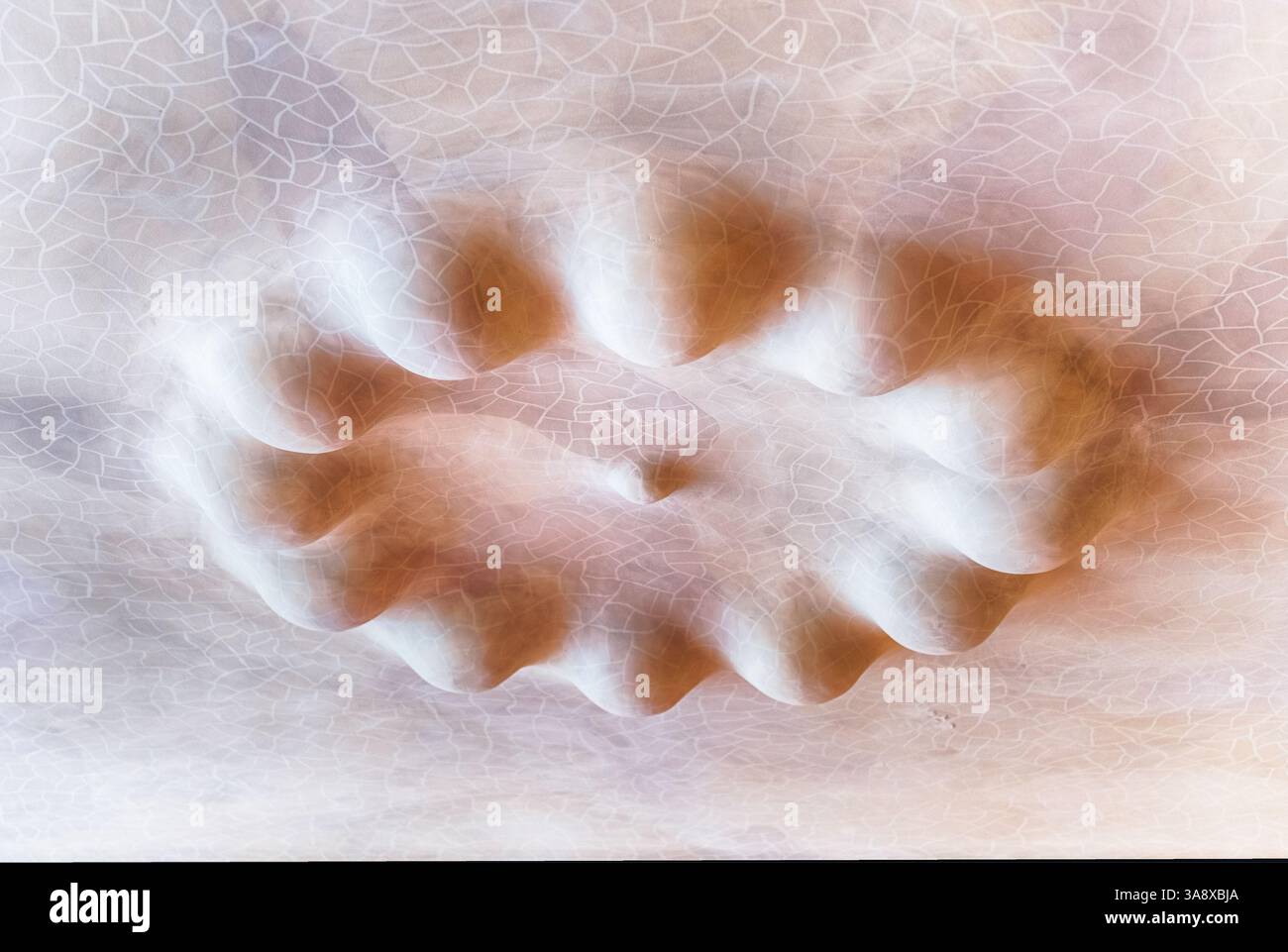 BARCELLONA - 9 AGOSTO: Dettaglio del soffitto all'interno di Casa Batllo, rinomato edificio progettato da Antoni Gaudí e simbolo di Barcellona, Catalogna Foto Stock