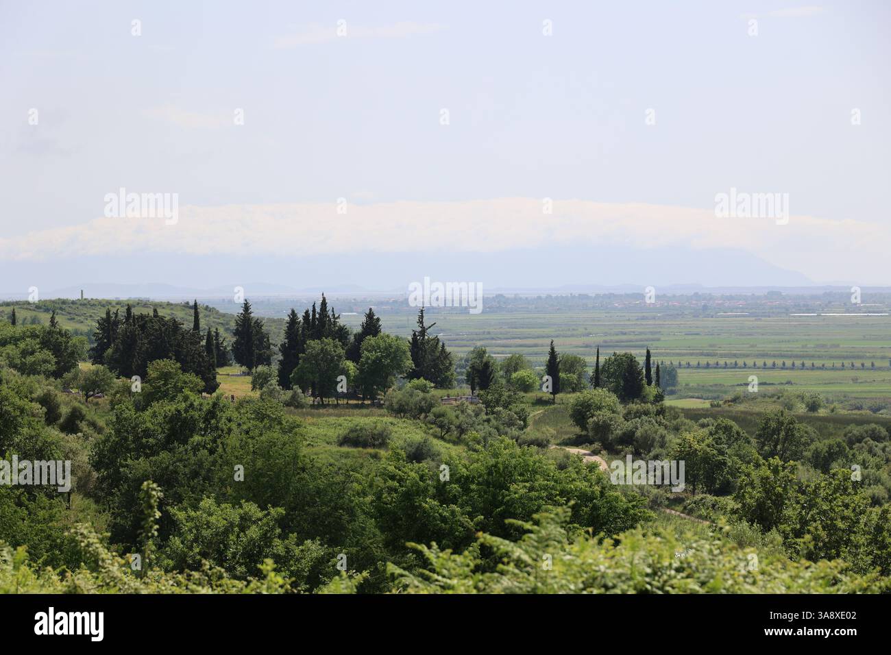 Vista sulla pianura pianeggiante dell'Albania centrale Foto Stock