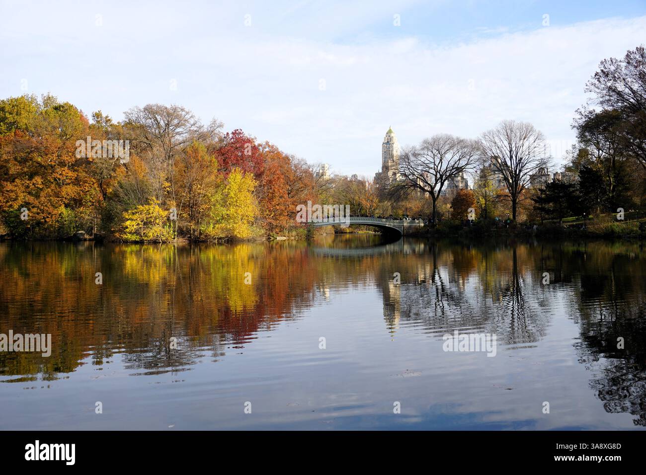 Splendido panorama del Bow Bridge che attraversa Central Park Lake, New York, mentre le foglie colorate di alberi si riflettono nell'acqua in una giornata di sole in autunno Foto Stock