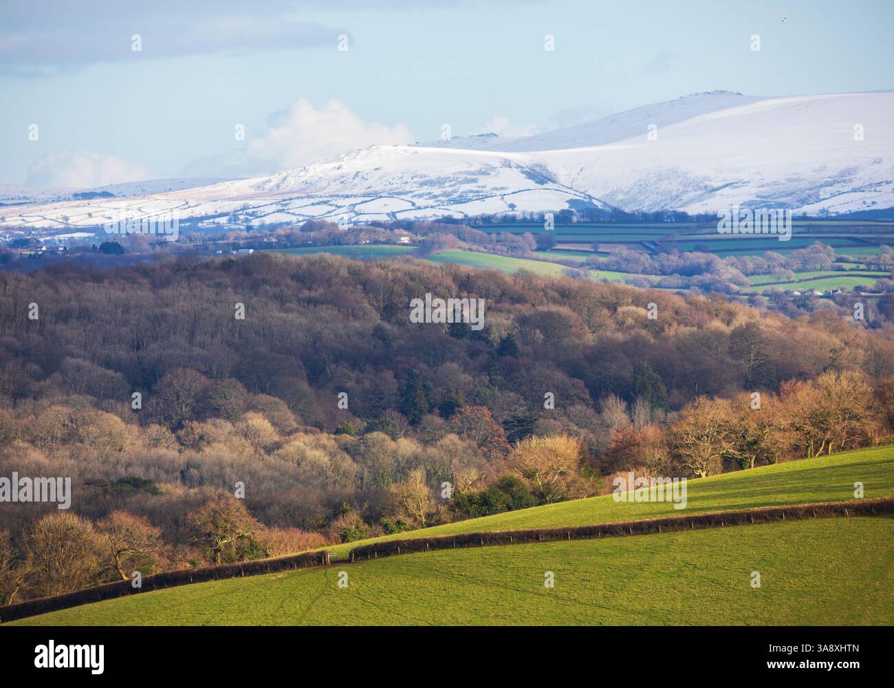 Neve invernale su Dartmoor Foto Stock