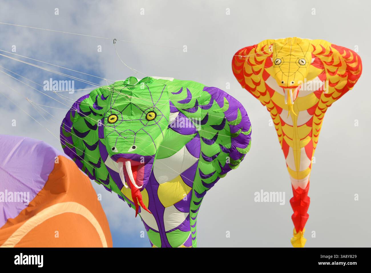 Festival degli aquiloni. Kite cobra nel cielo sulla spiaggia dell'oceano Atlantico Foto Stock