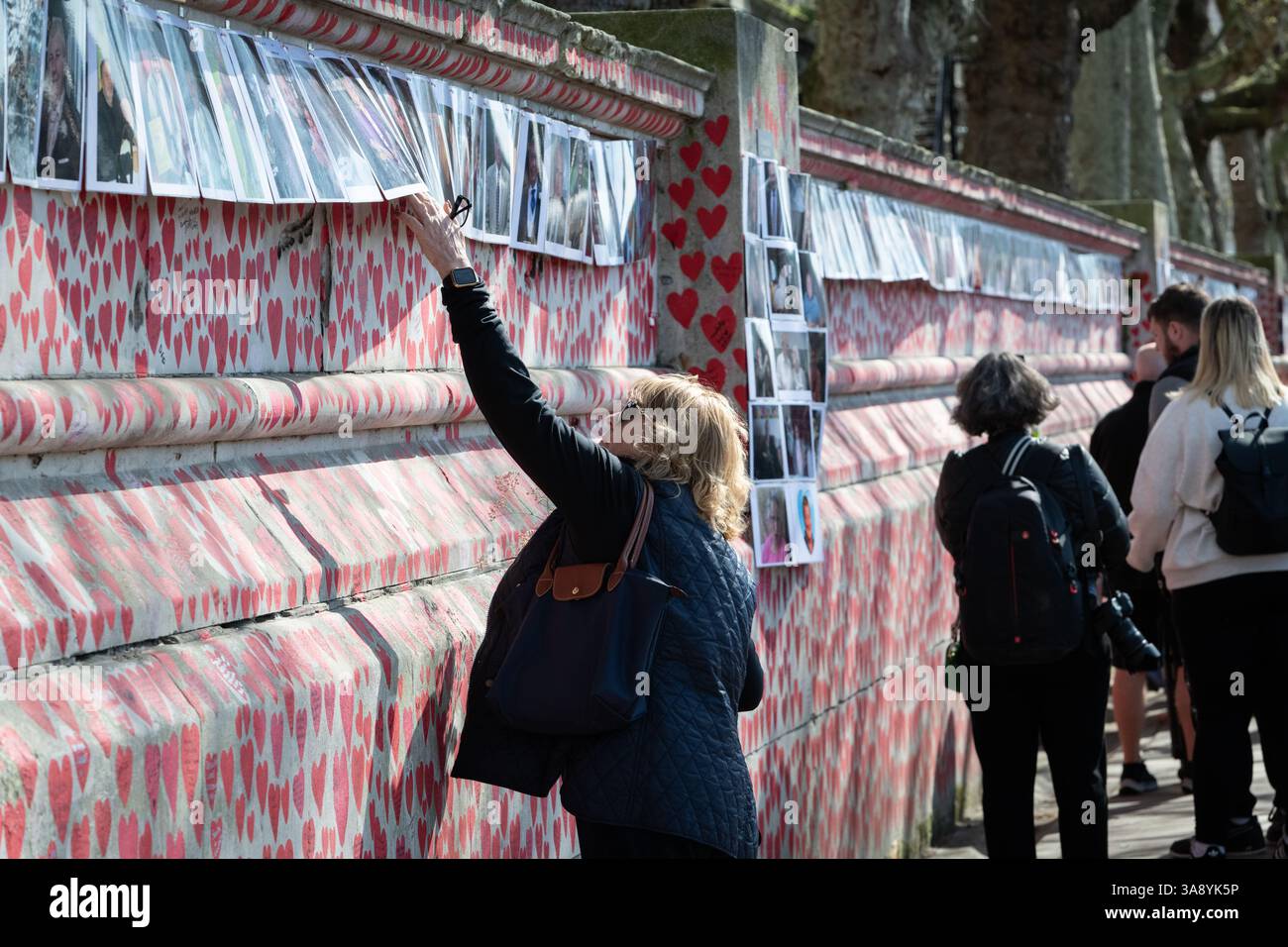 Londra, Regno Unito. 29 marzo 2025. Le famiglie e i parenti in lutto celebrano il quarto anniversario della creazione del National Covid Memorial Wall sull'Albert Embankment, proprio dall'altra parte del fiume rispetto al Parlamento. Il tributo non ufficiale si estende per 500 metri con un cuore rosso dipinto a mano raffigurante ciascuna delle oltre 240.000 vittime della pandemia di coronavirus nel Regno Unito. Centinaia di fotografie del defunto pendono lungo il muro che la processione commemorativa percorreva, leggendo tributi lungo il percorso. Crediti: Ron Fassbender/Alamy Live News Foto Stock