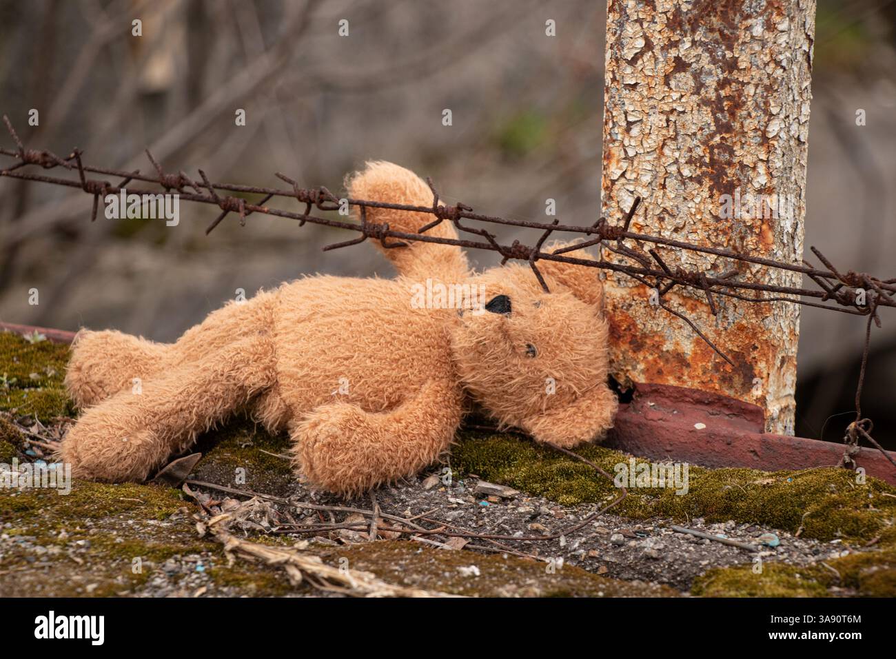 L'orsacchiotto marrone di un bambino si trova vicino a una recinzione con filo spinato a terra in Ucraina, deportazione di bambini Foto Stock