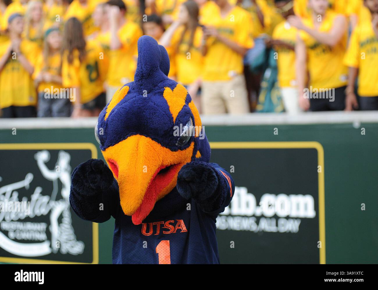 9 settembre 2017: Mascotte degli UTSA Roadrunners durante la prima metà della partita di football NCAA tra i Baylor Bears e gli UTSA Roadrunners al McLane Stadium di Waco, Texas. Matthew Lynch/CSM(immagine di credito: &Copy; Matthew Lynch/CSM tramite filo ZUMA) Foto Stock