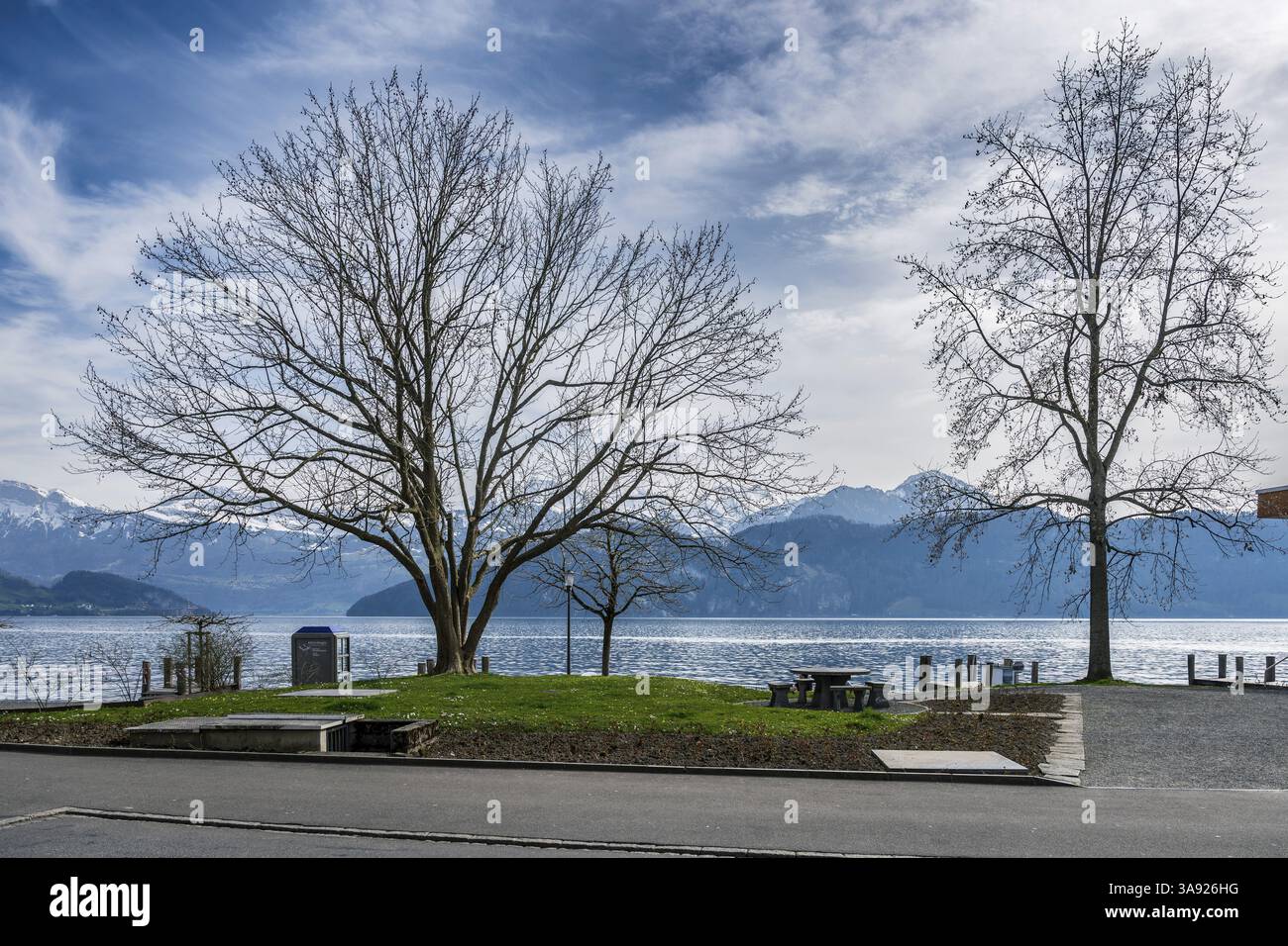 Passeggiata sul lago di Lucerna, Weggis, Svizzera, Europa Foto Stock