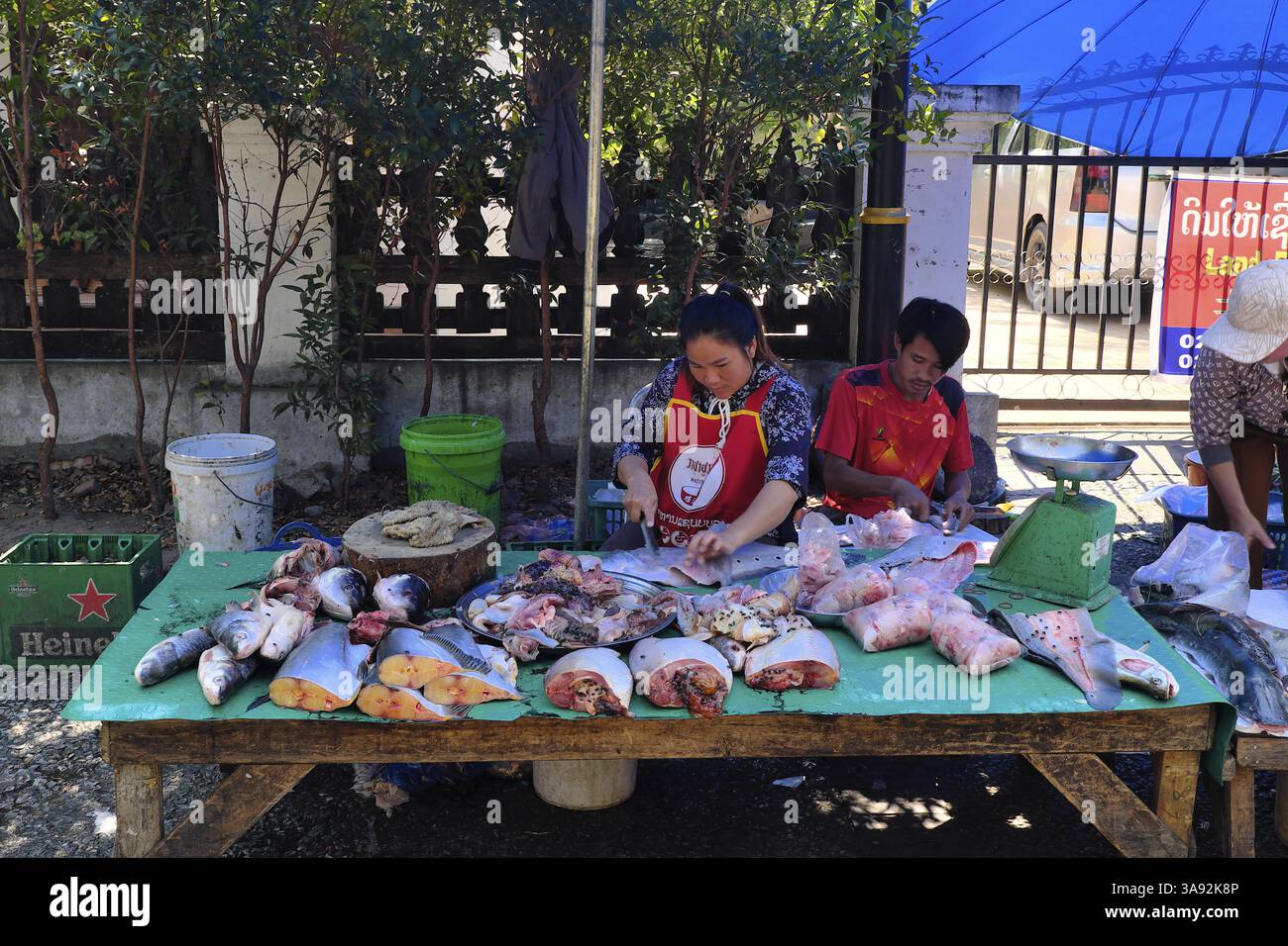 Pescivendolo con pesce Mekong in un mercato, Luang Prabang, Laos, Asia Foto Stock