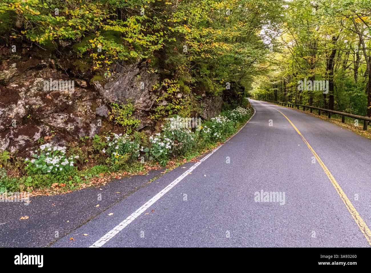 Una strada che porta in cima al Monte Greylock nella Western Mass Foto Stock