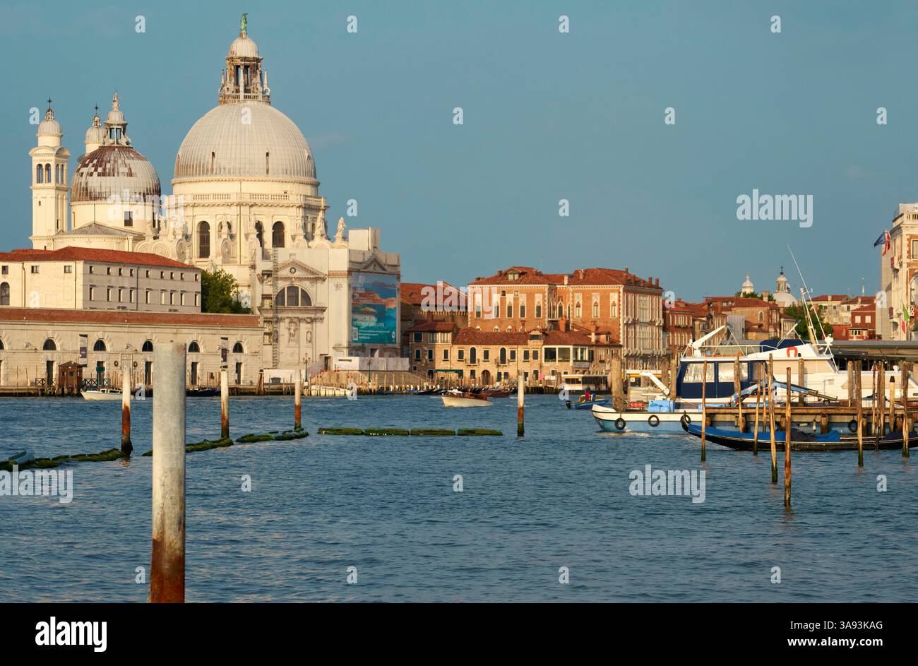 Vista sul Canal grande in una giornata di sole, Venezia, Italia Foto Stock