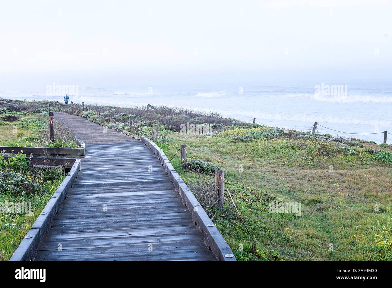 Cambria, CA, USA: 27 marzo 2025: I visitatori camminano lungo la bellissima Moonstone Beach Boardwalk a Cambria, CA. Foto Stock