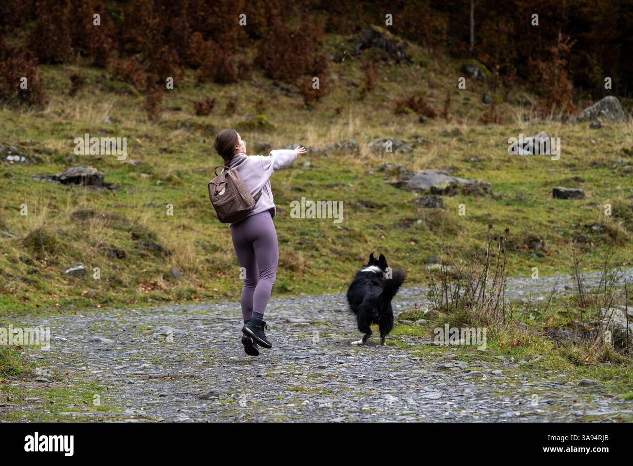 Un'escursionista gioiosa che si diverte a giocare con il suo cane in Natures Beautiful Realm Foto Stock
