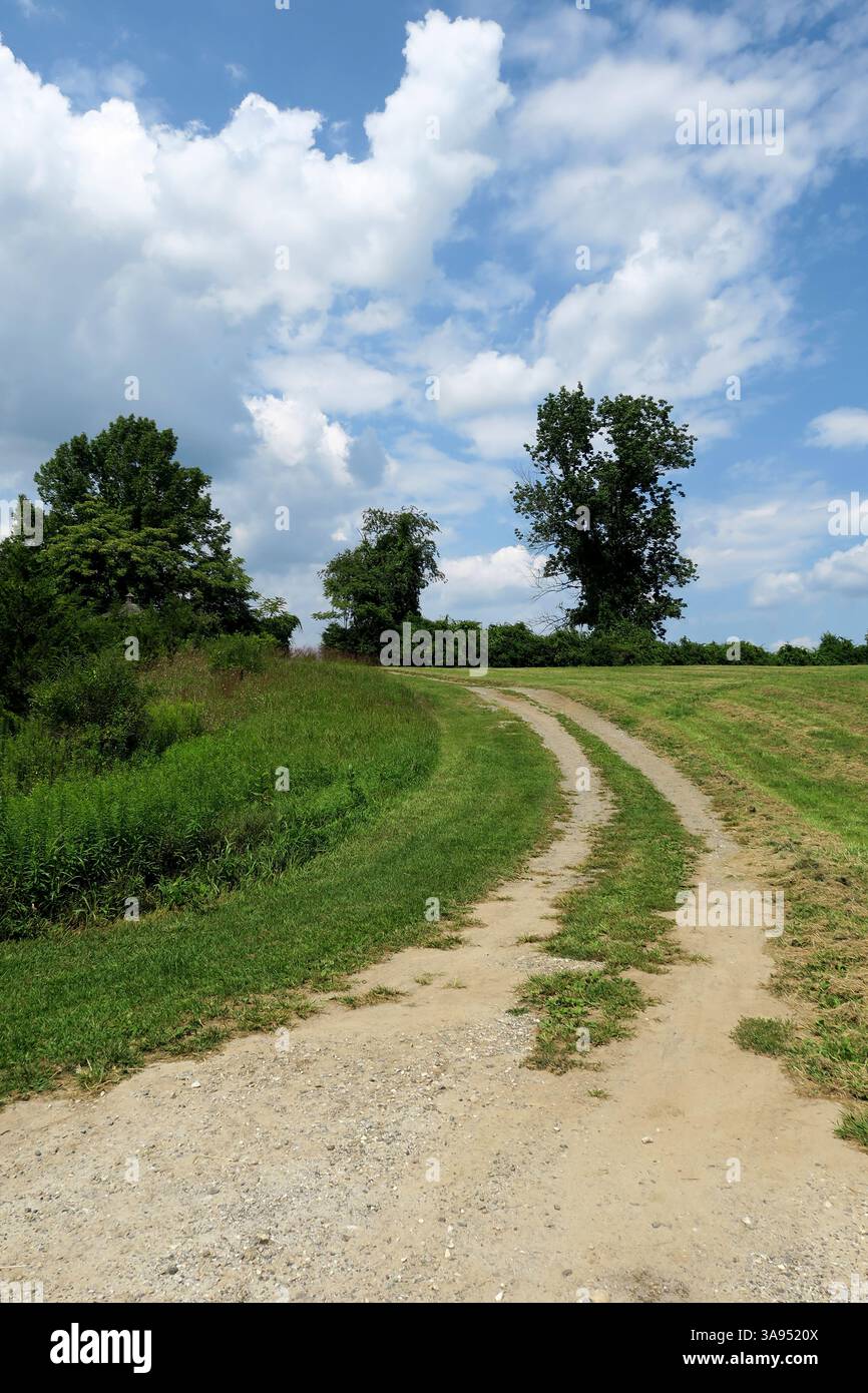 Questa strada agricola sussurra storie di giornate estive e momenti tranquilli. Foto Stock