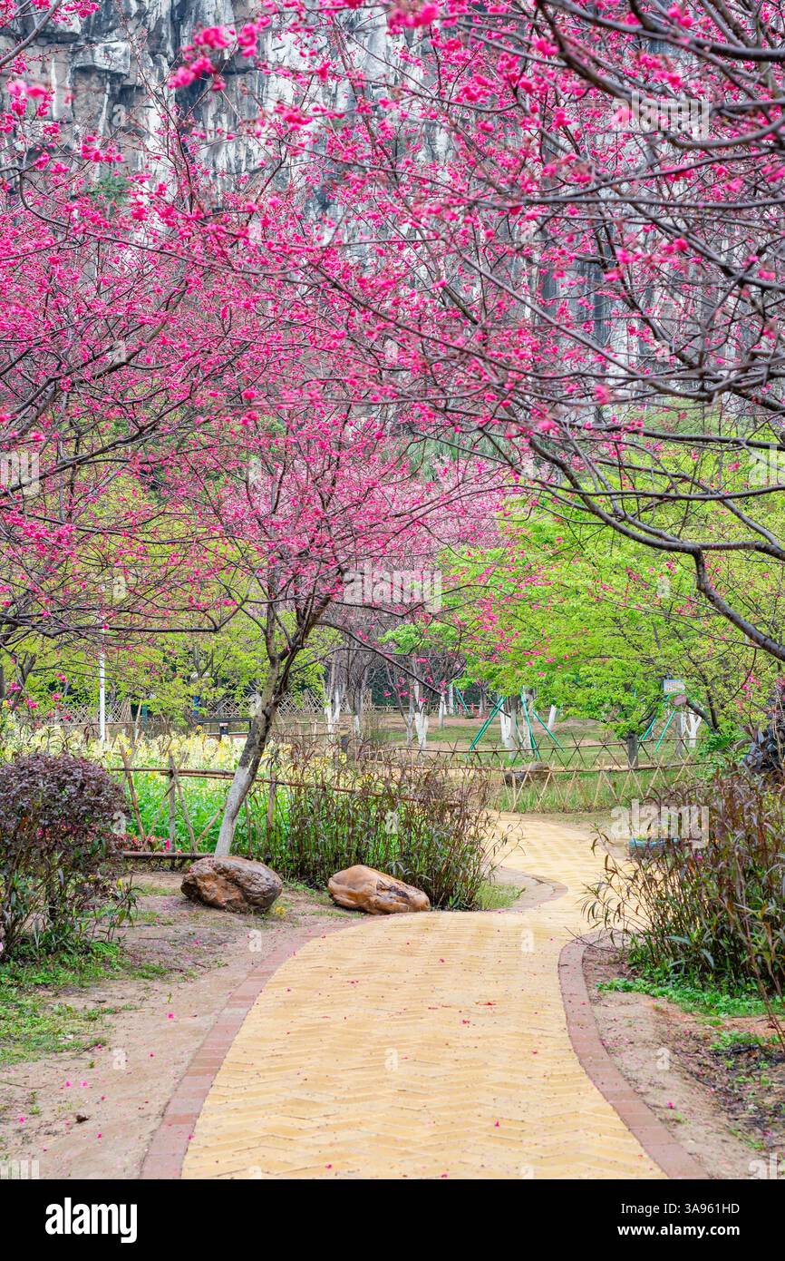 Oasi Serene Garden: Percorso curvo in mattoni gialli che si snoda attraverso vibranti fiori rosa e lussureggiante vegetazione Foto Stock
