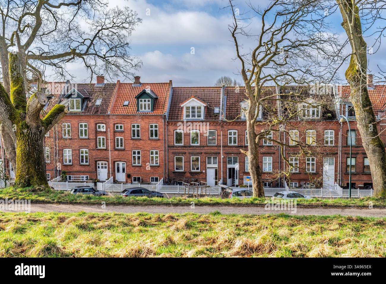 Storiche case cittadine in mattoni rossi con finestre dormitori che fiancheggiano una strada tranquilla delimitata da alberi. Cattura la bellezza dell'architettura dell'inizio del XX secolo Foto Stock