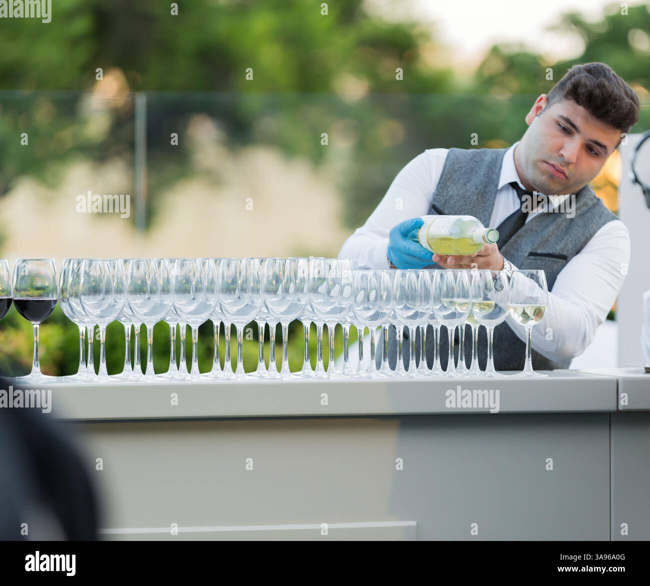 Barman che versa vino nei bicchieri in un bar. I bicchieri sono allineati sul bancone e ci sono diverse bottiglie di vino al bar. La scena è pronta Foto Stock