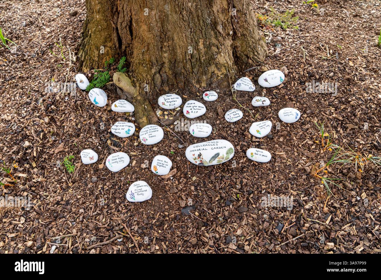 Ciottoli di pietra bianca nel giardino del ricordo di Tesco Foto Stock